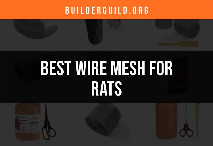 Top 12 Wire Mesh for Rats: Your Ultimate Guide